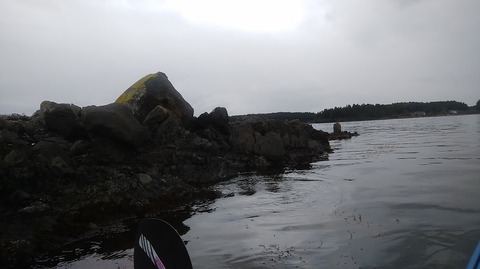 DSC_0088.jpg