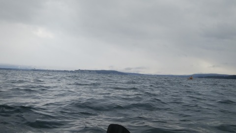 DSC_0096.jpg