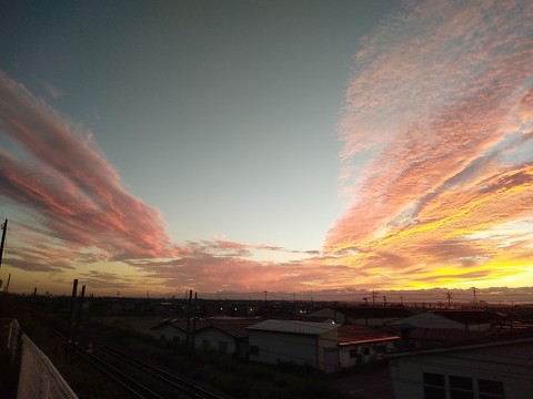 DSC_0117.jpg